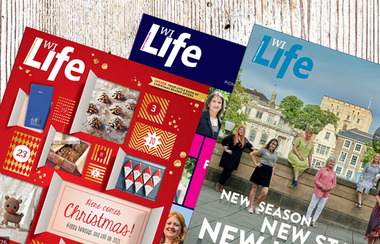 WI Life Magazines